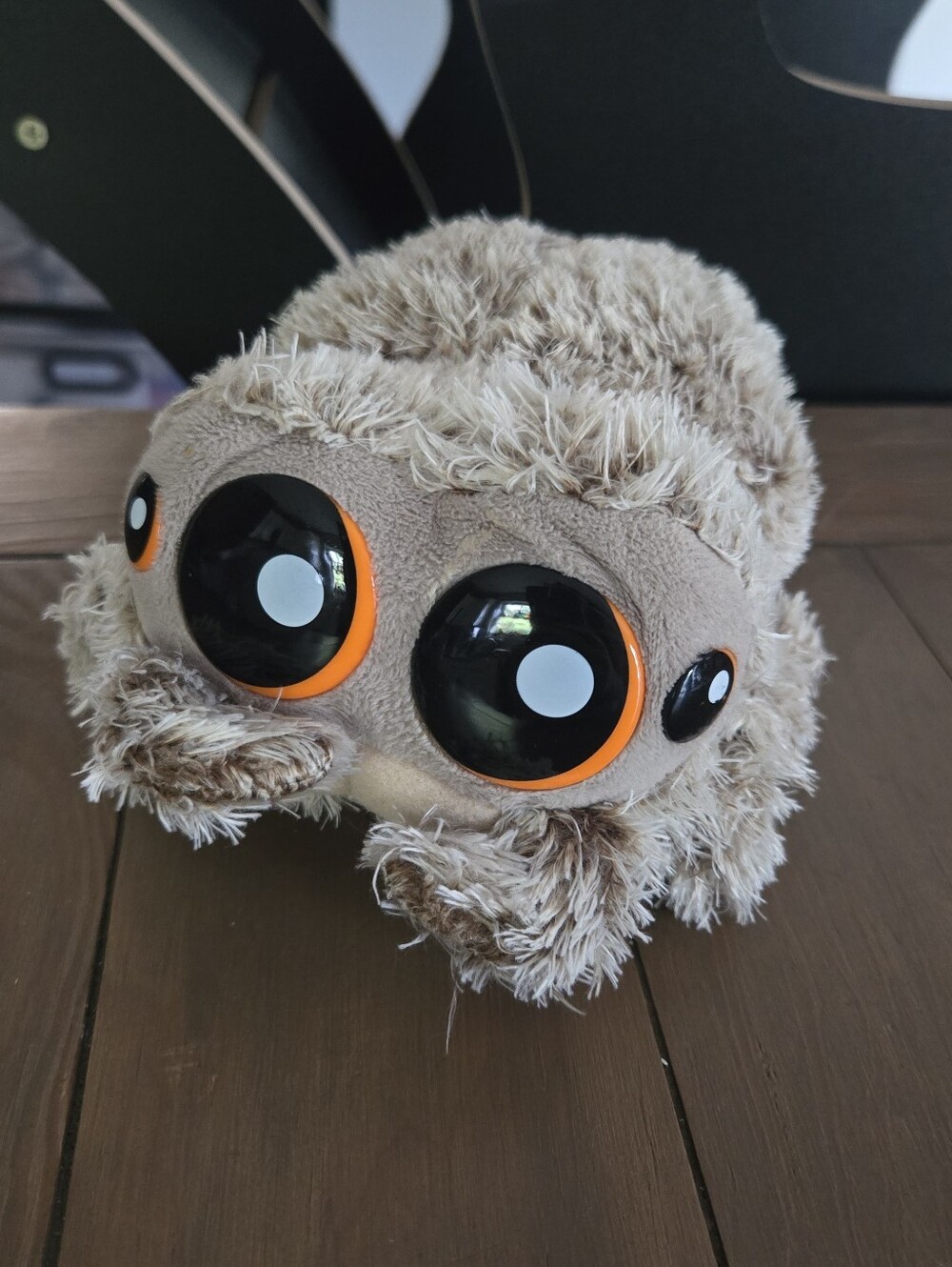 Lucas The Jumping Spider Plush Toy